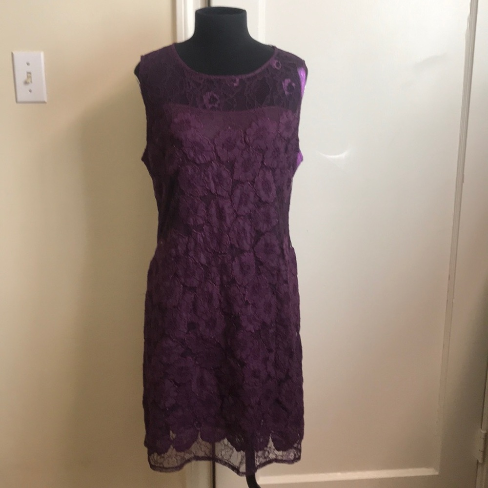 sexy lace dress